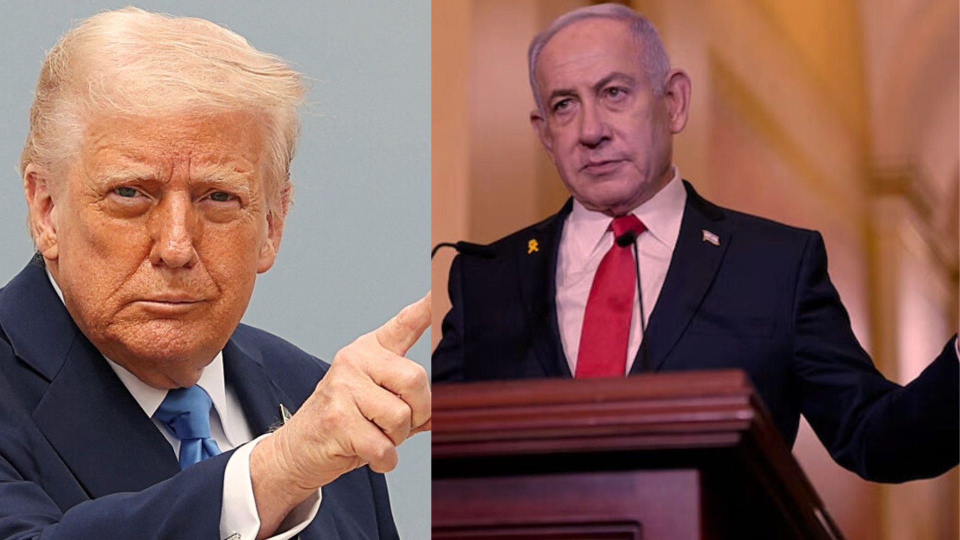 ট্রাম্প 